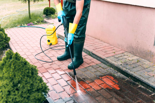 Best Pressure Washing Driveway  in Second Mesa, AZ