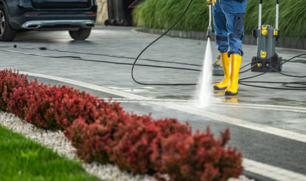 Best Local Pressure Washing Services  in Second Mesa, AZ