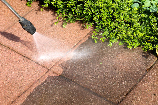 Best Exterior Home Cleaning  in Second Mesa, AZ